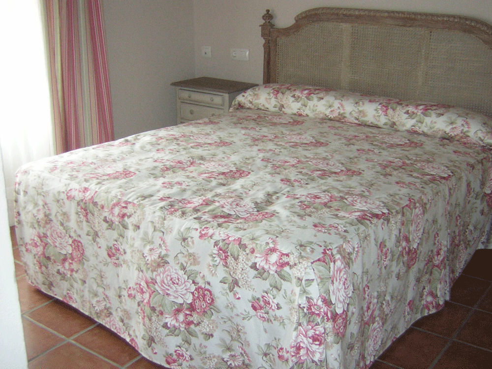 La Casona De Dona Petra Ξενοδοχείο Villarmentero de Campos Εξωτερικό φωτογραφία